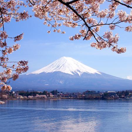 日本山